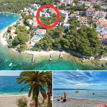 Blue Horizon Omis